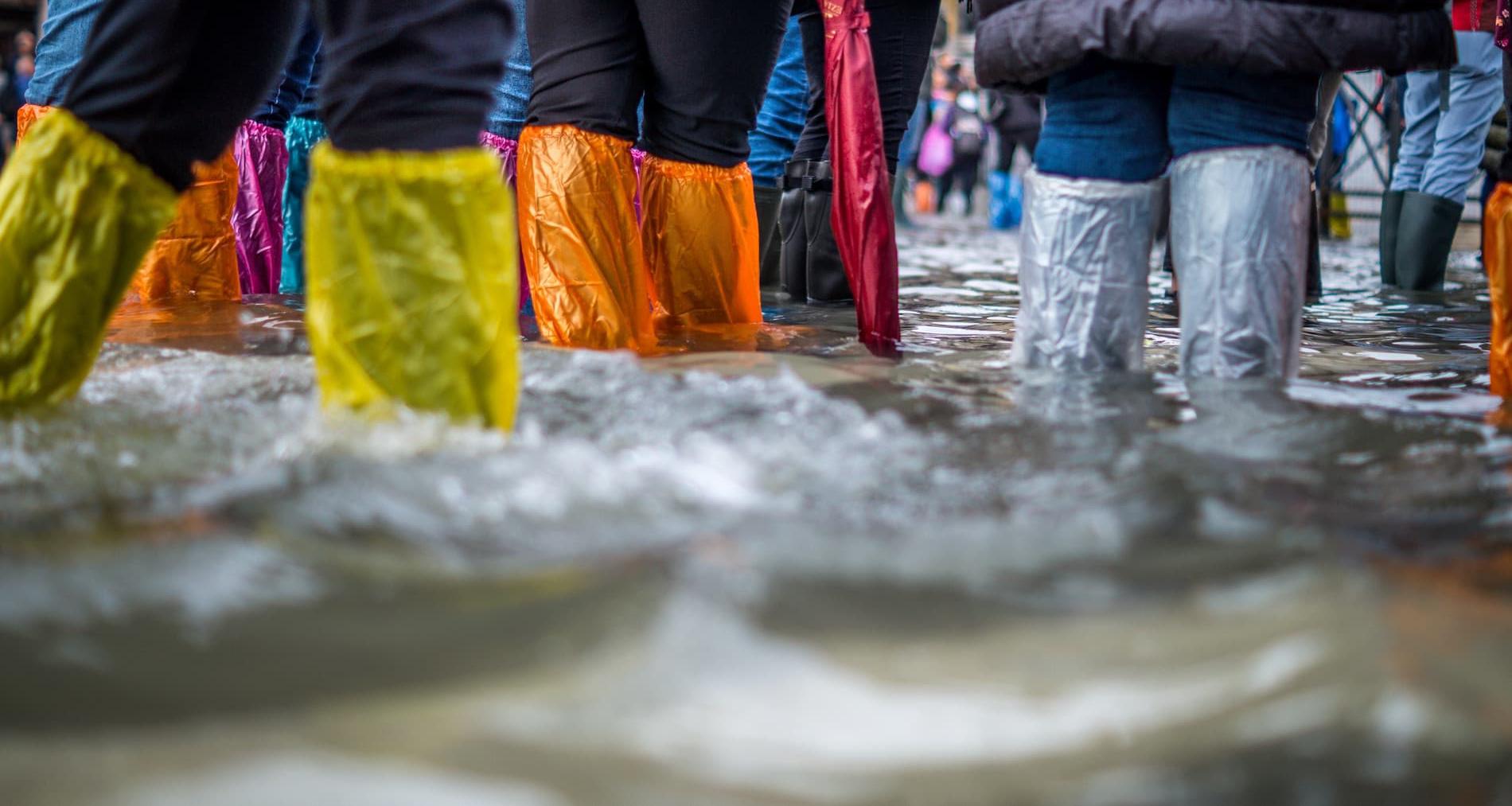 flood