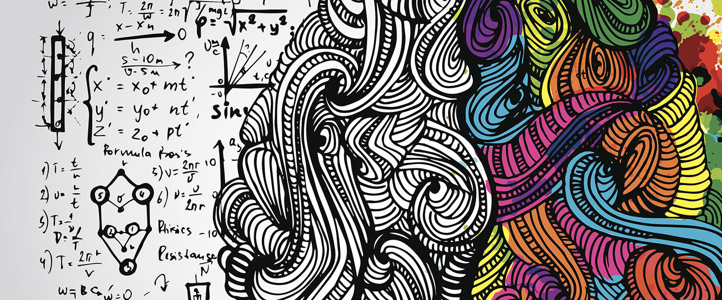 Brain and sketching