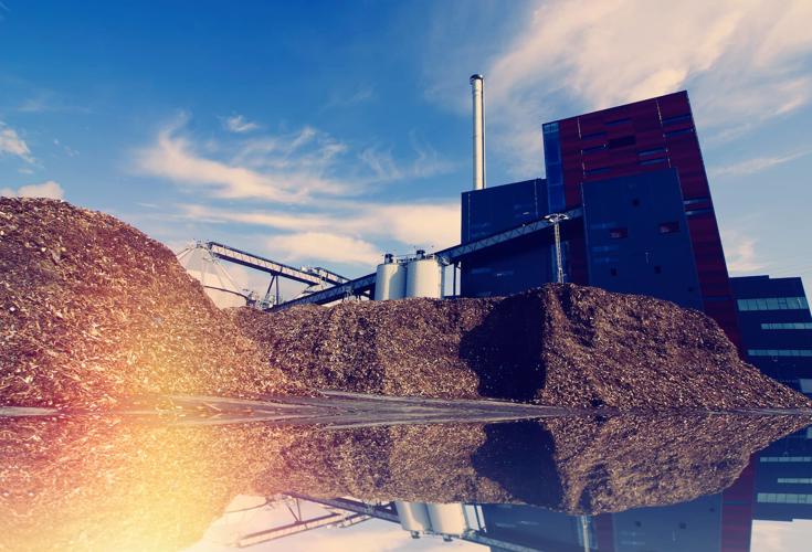 Biomass