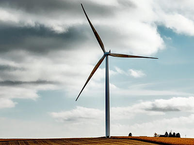 wind-farm-cropped