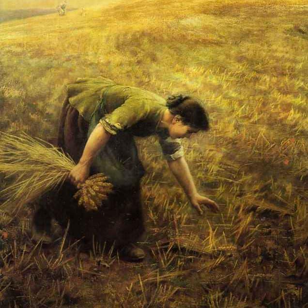 Gleaning