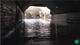 Hull flood